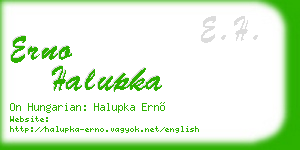erno halupka business card